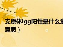 支原體igg陽性是什么意思（巨細(xì)胞病毒抗體igg陽性是什么意思）