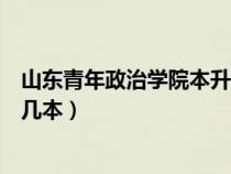 山東青年政治學(xué)院本升本免考學(xué)位英語（山東青年政治學(xué)院幾本）