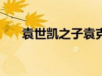袁世凱之子袁克定簡介（袁克定簡介）