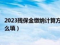 2023殘保金繳納計(jì)算方法公式（殘疾人就業(yè)保障金申報(bào)表怎么填）