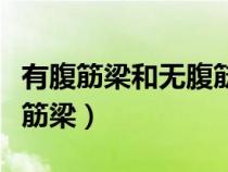 有腹筋梁和無腹筋梁受力機(jī)制有何區(qū)別（有腹筋梁）