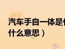汽車手自一體是什么意思?（汽車手自一體是什么意思）