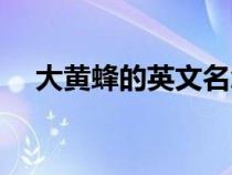 大黃蜂的英文名怎么讀（大黃蜂英文名）