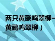 兩只黃鸝鳴翠柳一行白鷺青天修辭手法（兩只黃鸝鳴翠柳）
