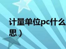 計(jì)量單位pc什么意思啊（計(jì)量單位pc什么意思）