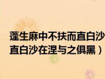 蓬生麻中不扶而直白沙在涅與之俱黑翻譯（蓬生麻中不扶而直白沙在涅與之俱黑）
