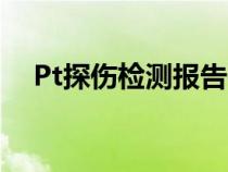 Pt探傷檢測(cè)報(bào)告需要什么資質(zhì)（pt探傷）