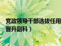 黨政領(lǐng)導(dǎo)干部選拔任用工作條例副科級(jí)（干部任用選拔條例晉升副科）
