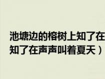 池塘邊的榕樹上知了在聲聲叫著夏天歌詞（池塘邊的榕樹上知了在聲聲叫著夏天）