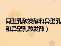 同型乳酸發(fā)酵和異型乳酸發(fā)酵的共同產(chǎn)物為(同型乳酸發(fā)酵和異型乳酸發(fā)酵) 同型乳酸發(fā)酵和異型乳酸發(fā)酵的共同產(chǎn)物為(同型乳酸發(fā)酵和異型乳酸發(fā)酵)