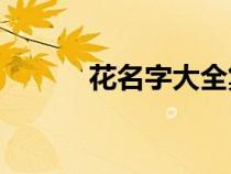 花名字大全集 100種（花名字）