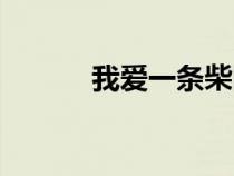 我愛一條柴圖片（我愛一條柴）