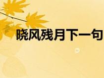 曉風(fēng)殘月下一句（曉風(fēng)殘月是什么意思）