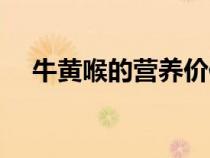 牛黃喉的營(yíng)養(yǎng)價(jià)值及功效禁忌(牛黃喉) 牛黃喉的營(yíng)養(yǎng)價(jià)值及功效禁忌(牛黃喉)