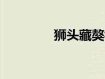 獅頭藏獒視頻（獅頭藏獒）