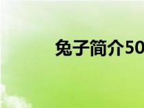 兔子簡介50字左右（兔子簡介）