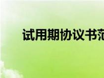 試用期協(xié)議書范本（試用期合同模板）
