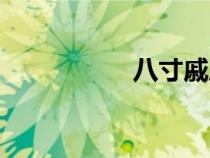 八寸戚風(fēng)蛋糕（八寸）