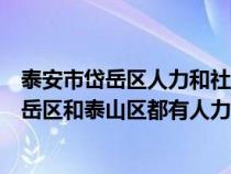 泰安市岱岳區(qū)人力和社會(huì)保障局官網(wǎng)官網(wǎng)（山東省泰安市岱岳區(qū)和泰山區(qū)都有人力資源和社會(huì)保障局嗎）