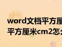 word文檔平方厘米怎么輸入（word和excel平方厘米cm2怎么做出來）