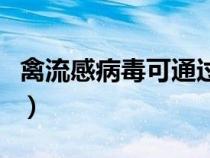 禽流感病毒可通過什么進(jìn)入人體（禽流感病毒）