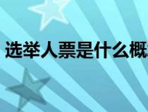 選舉人票是什么概念（選舉人票是什么意思）