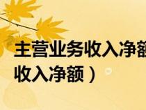 主營(yíng)業(yè)務(wù)收入凈額和主營(yíng)業(yè)務(wù)利潤(rùn)(主營(yíng)業(yè)務(wù)收入凈額) 主營(yíng)業(yè)務(wù)收入凈額和主營(yíng)業(yè)務(wù)利潤(rùn)(主營(yíng)業(yè)務(wù)收入凈額)