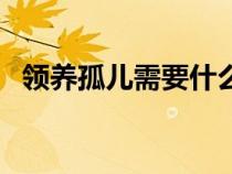 領(lǐng)養(yǎng)孤兒需要什么條件和手續(xù)(領(lǐng)養(yǎng)孤兒) 領(lǐng)養(yǎng)孤兒需要什么條件和手續(xù)(領(lǐng)養(yǎng)孤兒)