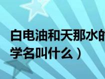 白電油和天那水的區(qū)別（白電油和天那水的化學(xué)名叫什么）