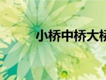 小橋中橋大橋特大橋(小橋中橋) 小橋中橋大橋特大橋(小橋中橋)
