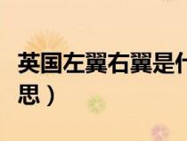 英國(guó)左翼右翼是什么意思（左翼右翼是什么意思）