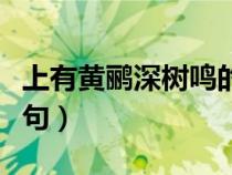 上有黃鸝深樹鳴的上一句（晚霞行千里的上一句）