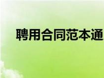 聘用合同范本通用版（試用期合同范本）
