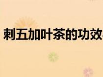 刺五加葉茶的功效與作用與禁忌（刺五加葉）
