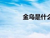 金烏是什么鳥（金烏是什么）