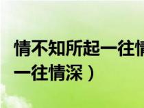情不知所起一往情深情不知所終（情不知所起一往情深）