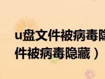 u盤文件被病毒隱藏了怎么顯示出來（u盤文件被病毒隱藏）
