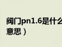 閥門pn1.6是什么意思（閥門規(guī)格NPS是什么意思）