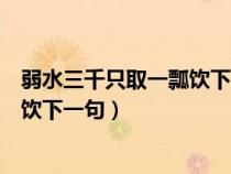 弱水三千只取一瓢飲下一句是什么意思（弱水三千只取一瓢飲下一句）