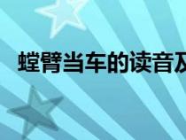 螳臂當(dāng)車的讀音及意思（螳臂當(dāng)車的讀音）