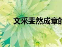 文采斐然成章的意思解釋（文采斐然）