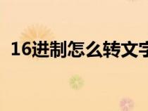 16進(jìn)制怎么轉(zhuǎn)文字（16進(jìn)制文字轉(zhuǎn)換工具）