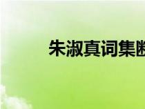 朱淑真詞集斷腸詞（朱淑真詞集）