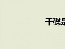 干碟是什么（干碟）