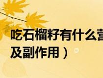 吃石榴籽有什么營養(yǎng)（吃石榴籽的功效與作用及副作用）