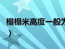 榻榻米高度一般為多高（榻榻米高度多少合適）