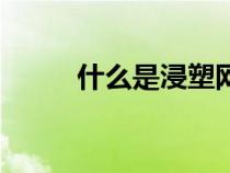 什么是浸塑網(wǎng)圍欄（什么是浸塑）
