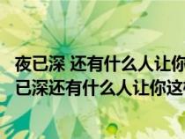 夜已深 還有什么人讓你這樣醒著數(shù)傷痕歌詞是什么意思（夜已深還有什么人讓你這樣醒著數(shù)傷痕）
