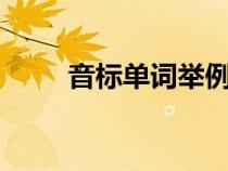 音標(biāo)單詞舉例5個（音標(biāo)單詞舉例）