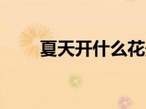 夏天開什么花最香（夏天開什么花）